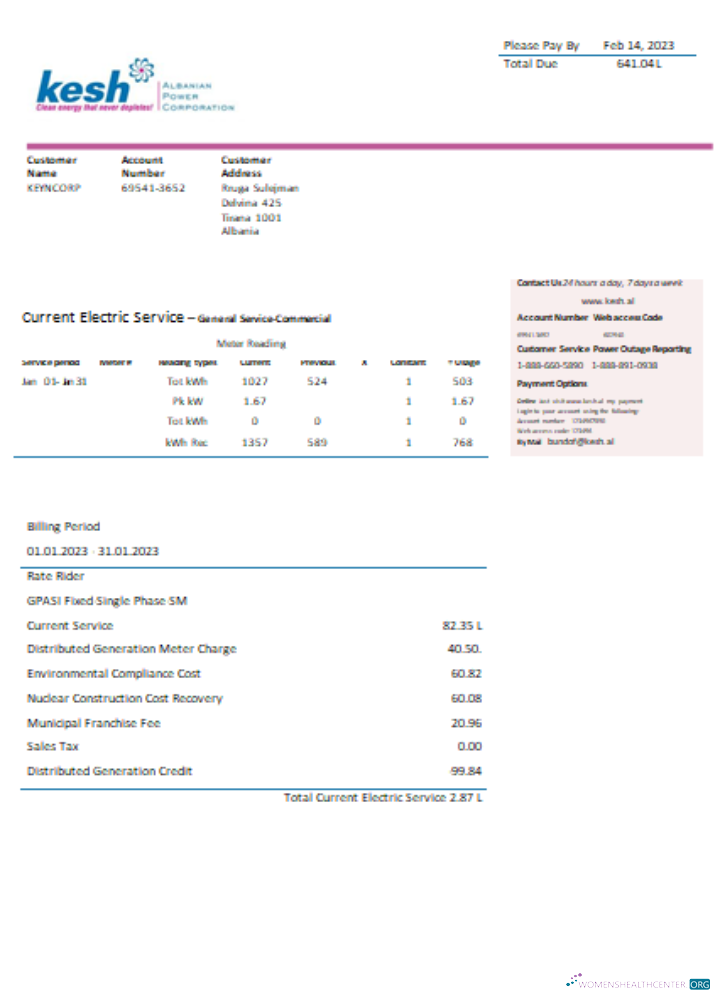 Download Albanian Power Corporation utility business bill, SCR Photoshop template